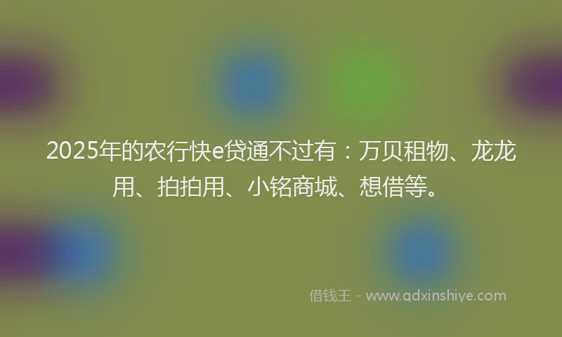2025年的农行快e贷通不过有：万贝租物、龙龙用、拍拍用、小铭商城、想借等。