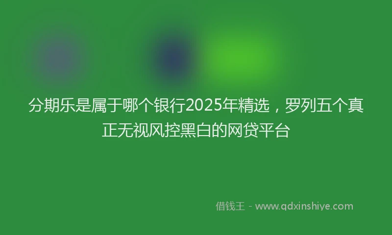 分期乐是属于哪个银行2025年精选，罗列五个真正无视风控黑白的网贷平台