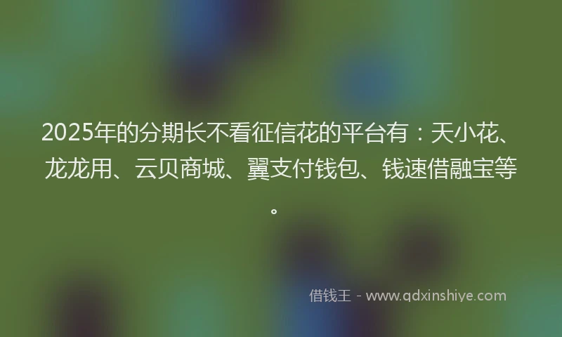 2025年的分期长不看征信花的平台有：天小花、龙龙用、云贝商城、翼支付钱包、钱速借融宝等。