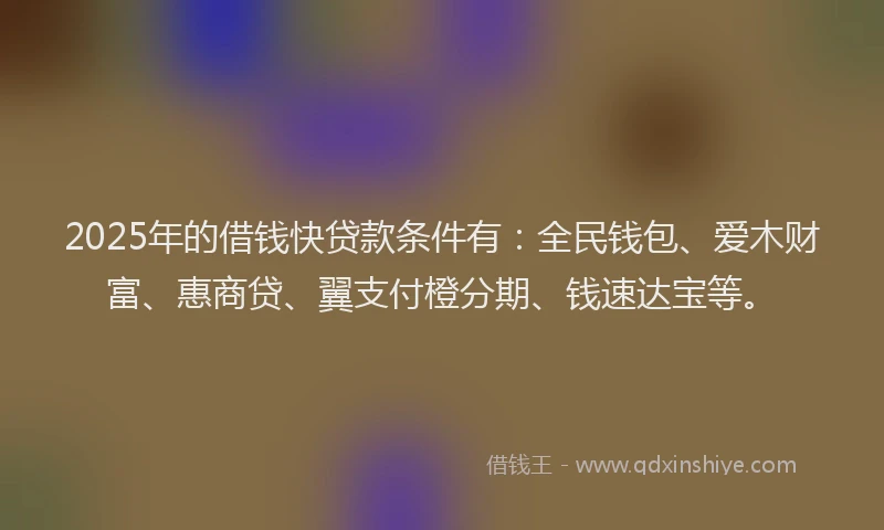 2025年的借钱快贷款条件有：全民钱包、爱木财富、惠商贷、翼支付橙分期、钱速达宝等。