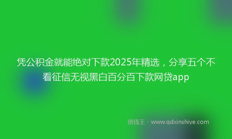 凭公积金就能绝对下款2025年精选，分享五个不看征信无视黑白百分百下款网贷app