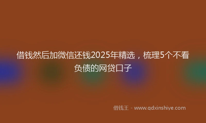 借钱然后加微信还钱2025年精选，梳理5个不看负债的网贷口子