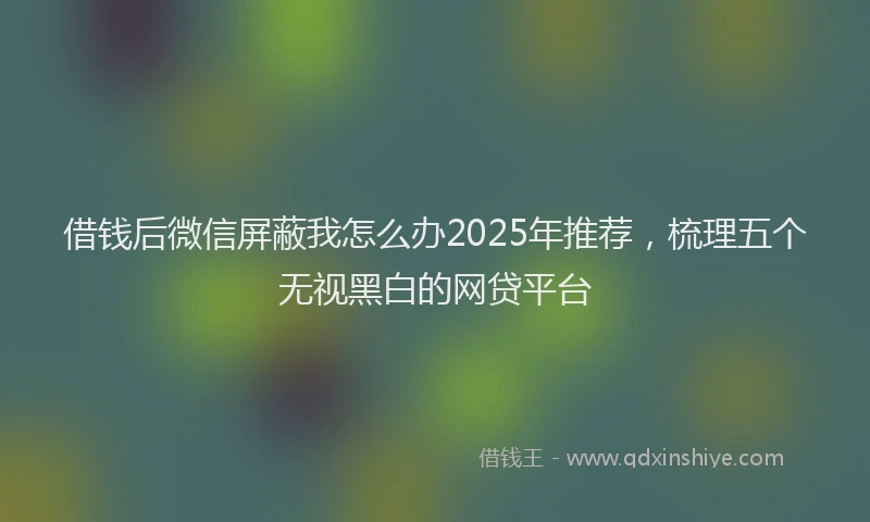 借钱后微信屏蔽我怎么办2025年推荐，梳理五个无视黑白的网贷平台