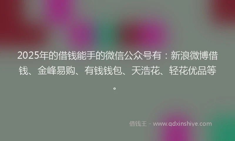 2025年的借钱能手的微信公众号有：新浪微博借钱、金峰易购、有钱钱包、天浩花、轻花优品等。