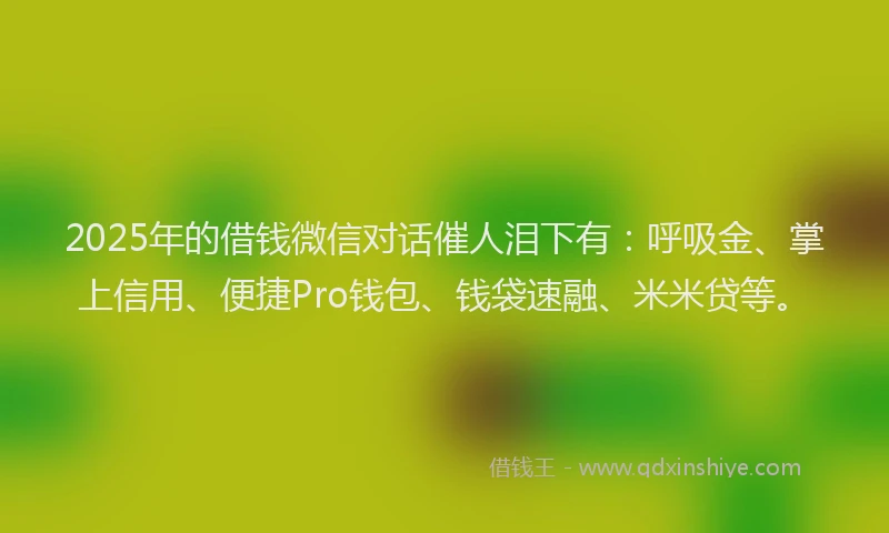 2025年的借钱微信对话催人泪下有：呼吸金、掌上信用、便捷Pro钱包、钱袋速融、米米贷等。