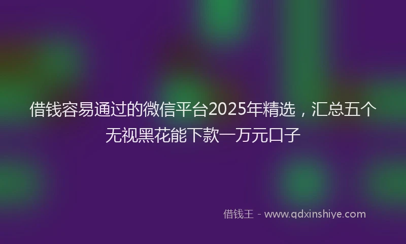 借钱容易通过的微信平台2025年精选，汇总五个无视黑花能下款一万元口子