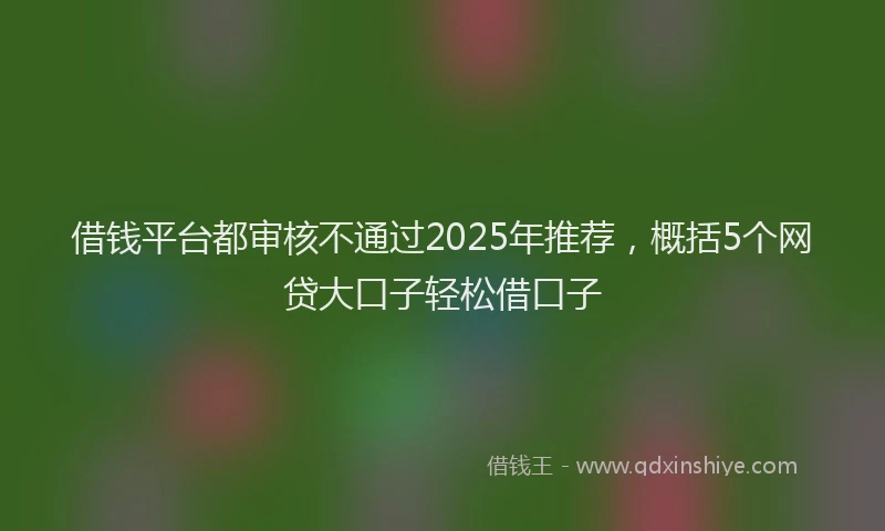 借钱平台都审核不通过2025年推荐，概括5个网贷大口子轻松借口子