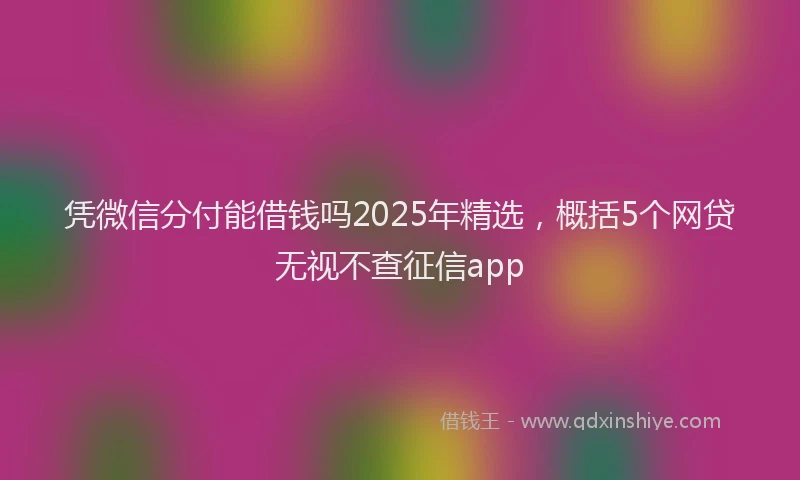凭微信分付能借钱吗2025年精选，概括5个网贷无视不查征信app