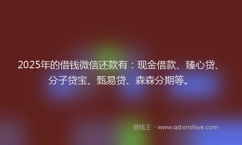 2025年的借钱微信还款有：现金借款、臻心贷、分子贷宝、甄易贷、森森分期等。