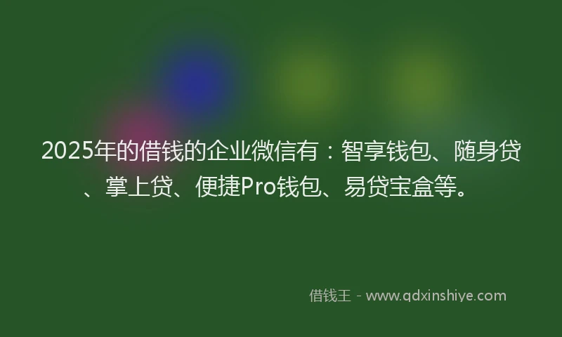 2025年的借钱的企业微信有：智享钱包、随身贷、掌上贷、便捷Pro钱包、易贷宝盒等。