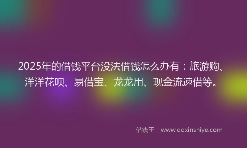 2025年的借钱平台没法借钱怎么办有：旅游购、洋洋花呗、易借宝、龙龙用、现金流速借等。