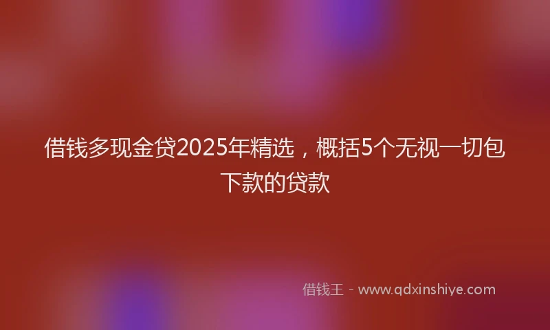 借钱多现金贷2025年精选，概括5个无视一切包下款的贷款