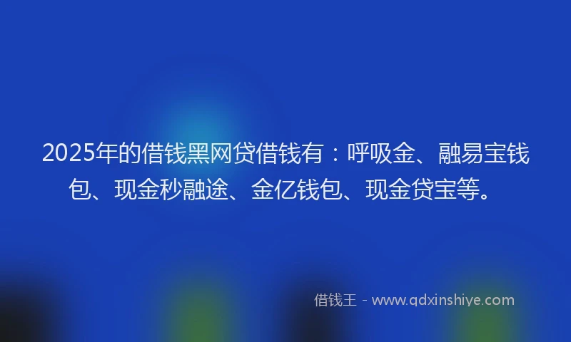 2025年的借钱黑网贷借钱有：呼吸金、融易宝钱包、现金秒融途、金亿钱包、现金贷宝等。