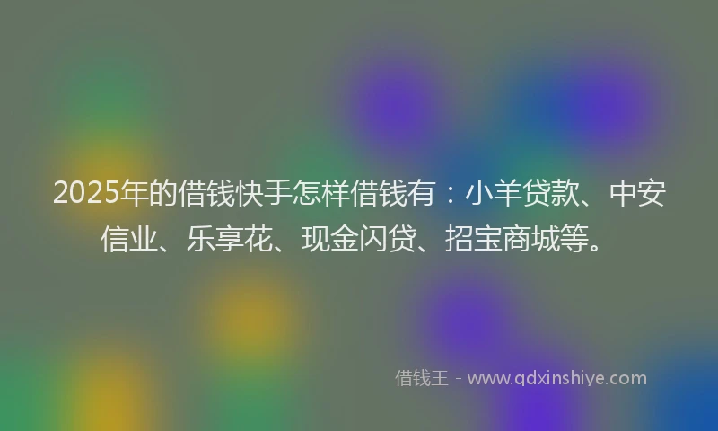 2025年的借钱快手怎样借钱有：小羊贷款、中安信业、乐享花、现金闪贷、招宝商城等。