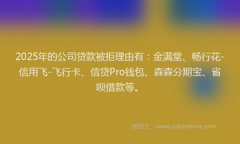 2025年的公司贷款被拒理由有：金满堂、畅行花-信用飞-飞行卡、信贷Pro钱包、森森分期宝、省呗借款等。