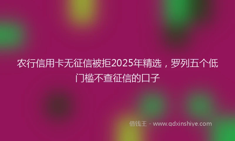农行信用卡无征信被拒2025年精选，罗列五个低门槛不查征信的口子