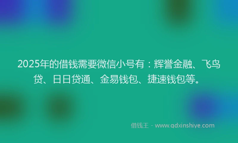2025年的借钱需要微信小号有：辉誉金融、飞鸟贷、日日贷通、金易钱包、捷速钱包等。