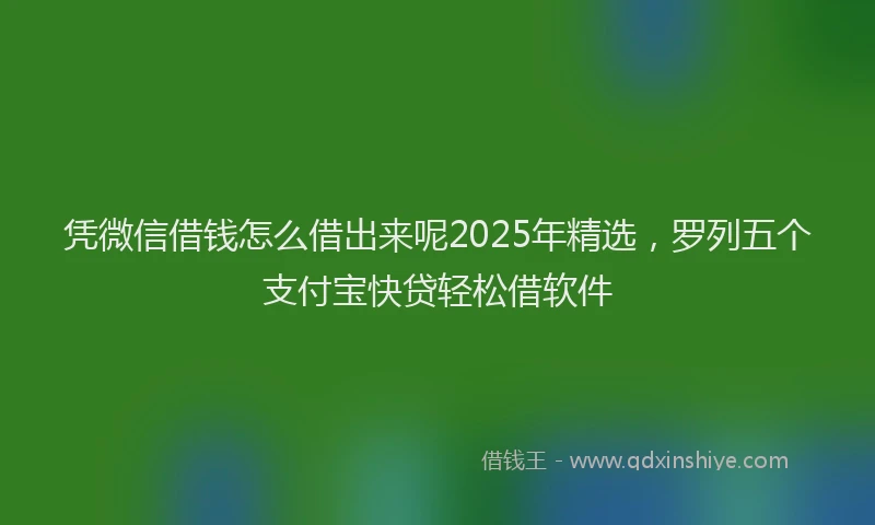 凭微信借钱怎么借出来呢2025年精选，罗列五个支付宝快贷轻松借软件