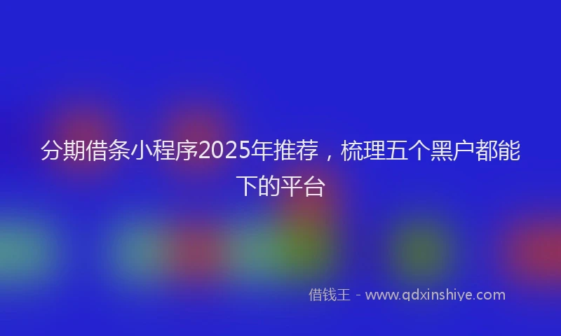 分期借条小程序2025年推荐，梳理五个黑户都能下的平台