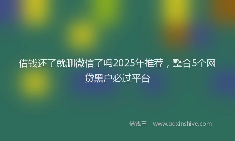 借钱还了就删微信了吗2025年推荐，整合5个网贷黑户必过平台