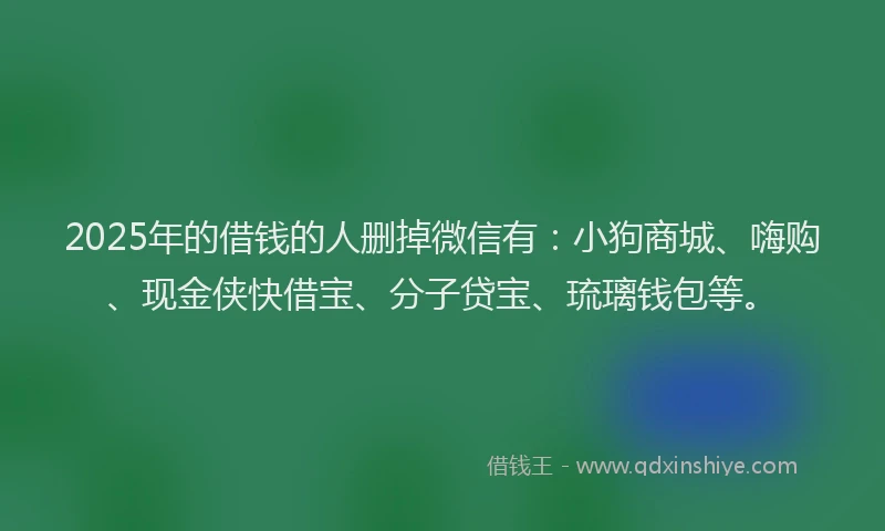 2025年的借钱的人删掉微信有：小狗商城、嗨购、现金侠快借宝、分子贷宝、琉璃钱包等。