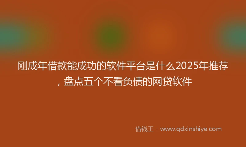 刚成年借款能成功的软件平台是什么2025年推荐，盘点五个不看负债的网贷软件