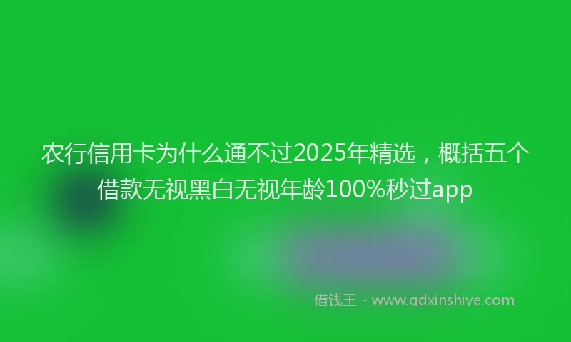 农行信用卡为什么通不过2025年精选，概括五个借款无视黑白无视年龄100%秒过app