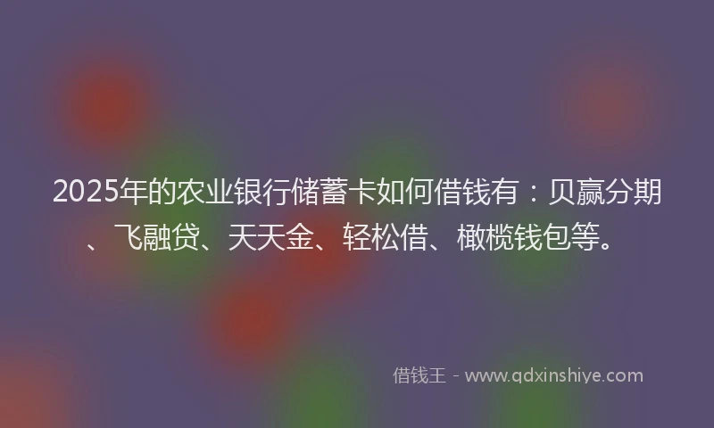 2025年的农业银行储蓄卡如何借钱有：贝赢分期、飞融贷、天天金、轻松借、橄榄钱包等。