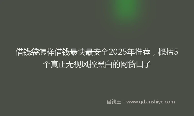 借钱袋怎样借钱最快最安全2025年推荐，概括5个真正无视风控黑白的网贷口子
