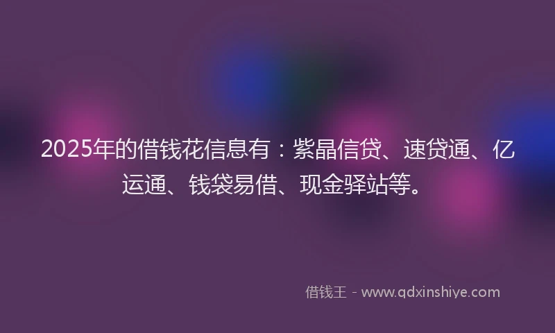 2025年的借钱花信息有：紫晶信贷、速贷通、亿运通、钱袋易借、现金驿站等。