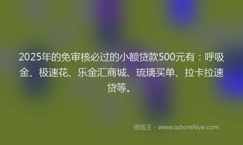 2025年的免审核必过的小额贷款500元有：呼吸金、极速花、乐金汇商城、琉璃买单、拉卡拉速贷等。