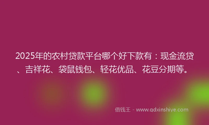2025年的农村贷款平台哪个好下款有：现金流贷、吉祥花、袋鼠钱包、轻花优品、花豆分期等。