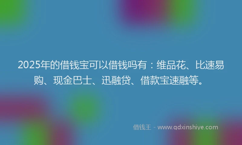 2025年的借钱宝可以借钱吗有：维品花、比速易购、现金巴士、迅融贷、借款宝速融等。