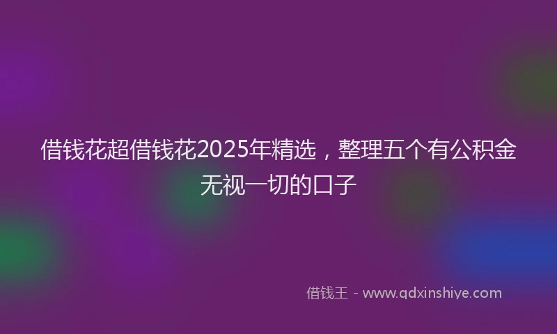 借钱花超借钱花2025年精选，整理五个有公积金无视一切的口子