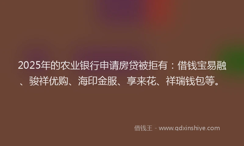 2025年的农业银行申请房贷被拒有：借钱宝易融、骏祥优购、海印金服、享来花、祥瑞钱包等。