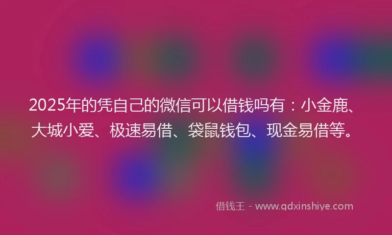 2025年的凭自己的微信可以借钱吗有：小金鹿、大城小爱、极速易借、袋鼠钱包、现金易借等。