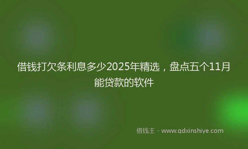借钱打欠条利息多少2025年精选，盘点五个11月能贷款的软件