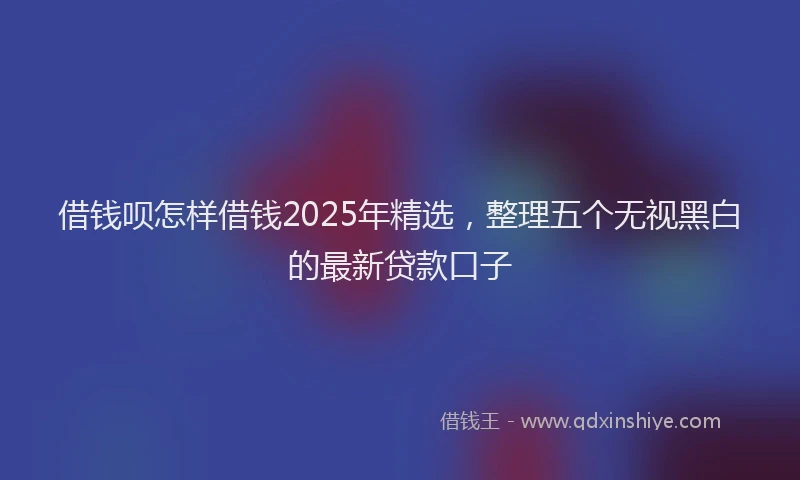 借钱呗怎样借钱2025年精选，整理五个无视黑白的最新贷款口子