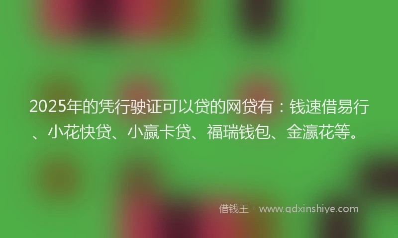 2025年的凭行驶证可以贷的网贷有：钱速借易行、小花快贷、小赢卡贷、福瑞钱包、金瀛花等。