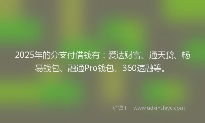2025年的分支付借钱有：爱达财富、通天贷、畅易钱包、融通Pro钱包、360速融等。