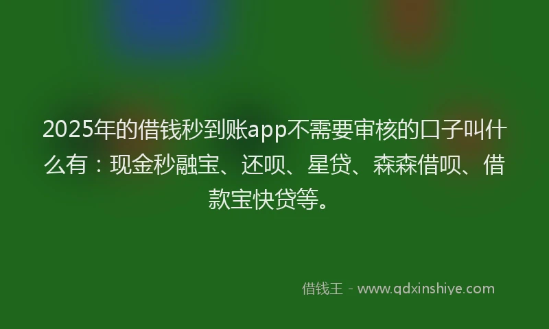 2025年的借钱秒到账app不需要审核的口子叫什么有：现金秒融宝、还呗、星贷、森森借呗、借款宝快贷等。