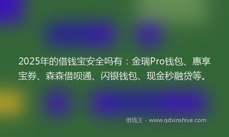 2025年的借钱宝安全吗有：金瑞Pro钱包、惠享宝券、森森借呗通、闪银钱包、现金秒融贷等。