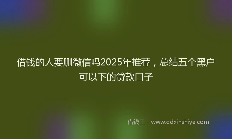 借钱的人要删微信吗2025年推荐，总结五个黑户可以下的贷款口子