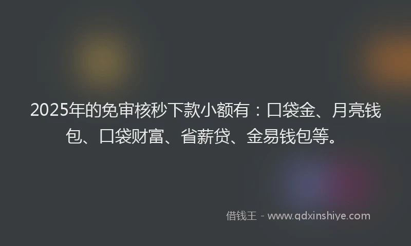 2025年的免审核秒下款小额有：口袋金、月亮钱包、口袋财富、省薪贷、金易钱包等。