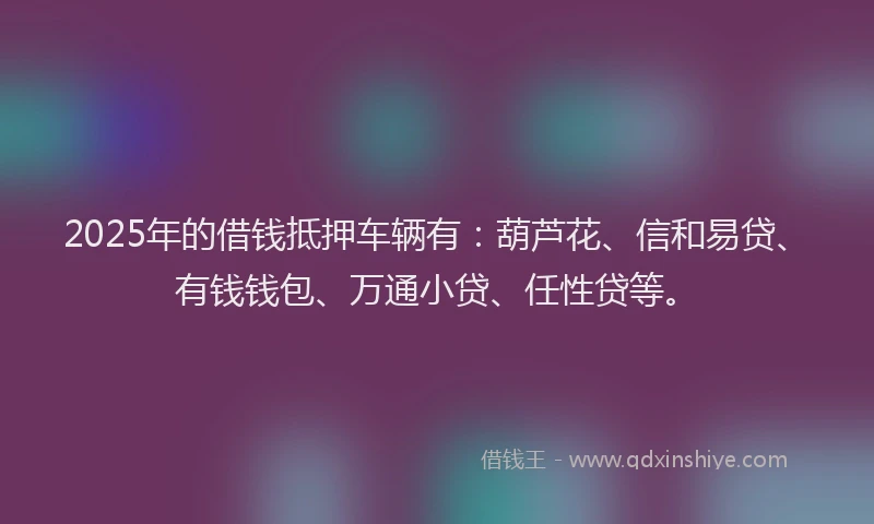 2025年的借钱抵押车辆有：葫芦花、信和易贷、有钱钱包、万通小贷、任性贷等。