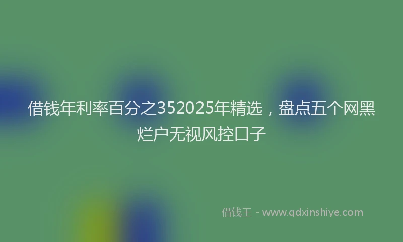借钱年利率百分之352025年精选，盘点五个网黑烂户无视风控口子