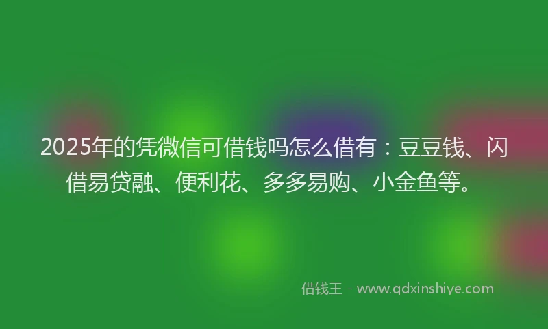 2025年的凭微信可借钱吗怎么借有：豆豆钱、闪借易贷融、便利花、多多易购、小金鱼等。