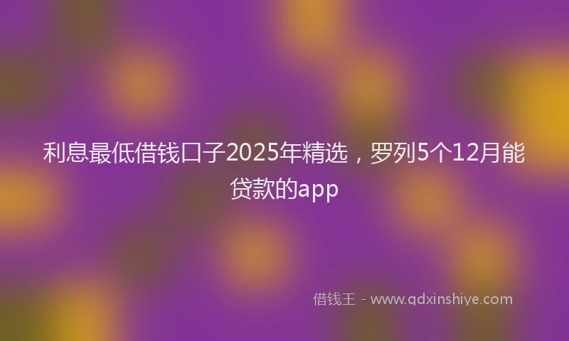 利息最低借钱口子2025年精选，罗列5个12月能贷款的app