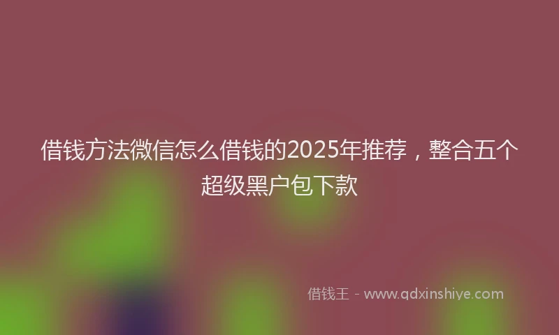 借钱方法微信怎么借钱的2025年推荐，整合五个超级黑户包下款