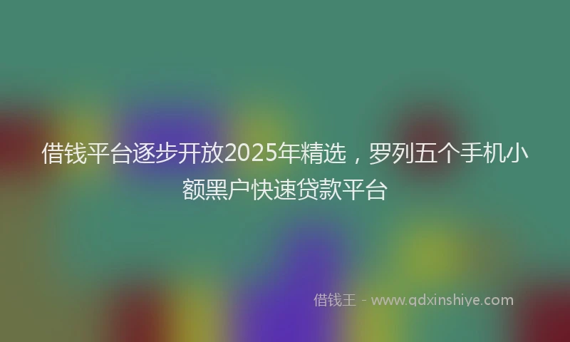 借钱平台逐步开放2025年精选，罗列五个手机小额黑户快速贷款平台